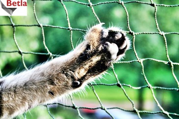 Siatki Trzebinia - Siatka ochrona do balkonu dla kota dla terenów Trzebini